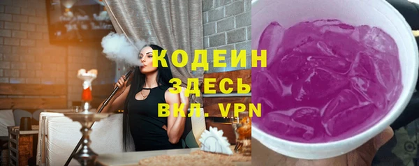 дурь Бородино