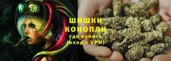 дурь Бородино